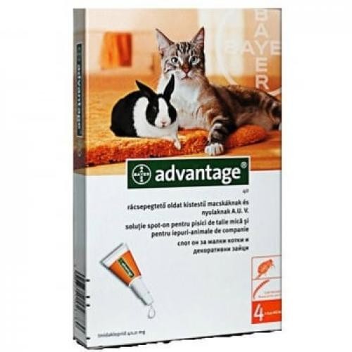 Advantage Pisica/Iepure 40 - < 4 kg - 4 pipete 1