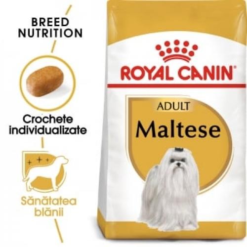 Royal Canin Maltese Adult - hrana uscata caini - 500g - Produse pentru caini -