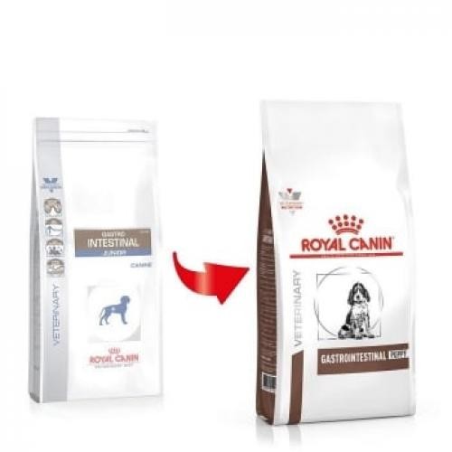 Royal Canin Veterinary Diet Dog Gastrointestinal Junior 10 kg - Produse pentru caini -
